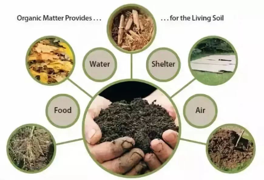 土壤肥力与施肥有什么关系？