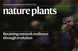 Chinese Researchers Reveal Synergistic Interplay of Stress Hormone and Growth Hormone