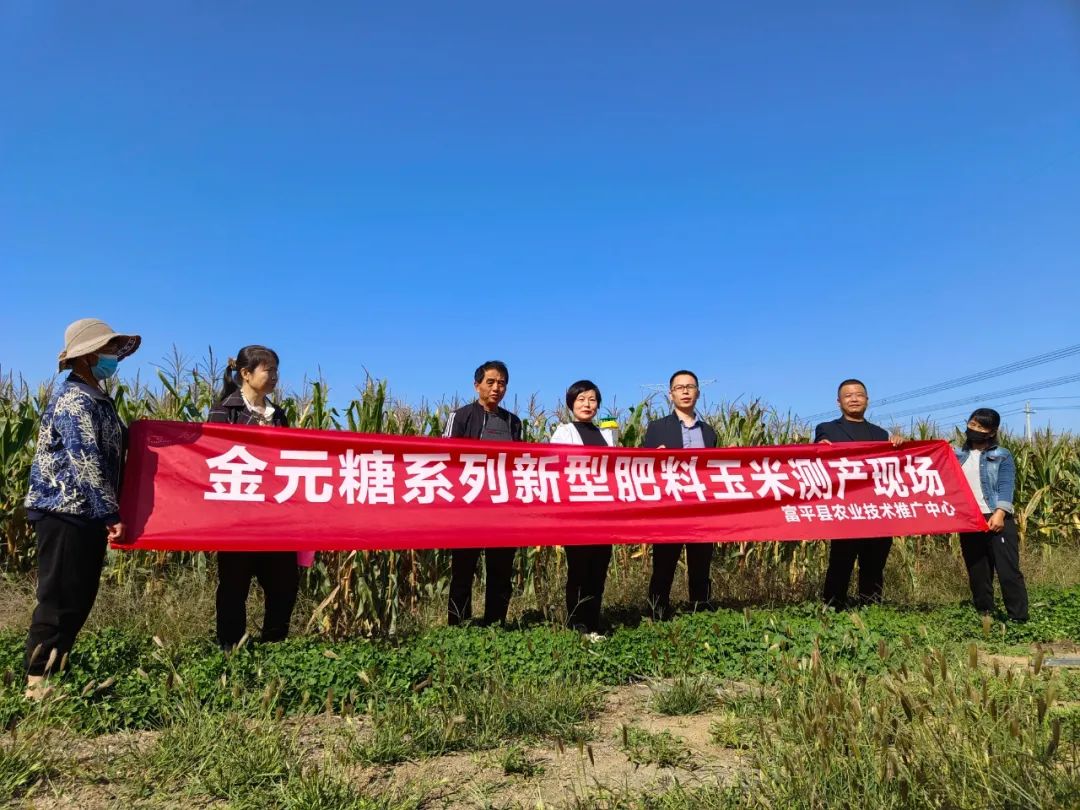 在陕西省富平县“玉”见丰收！