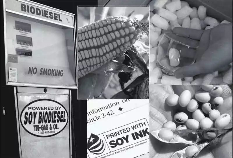 土壤为人类生活之本，土壤学研究将越发重要！